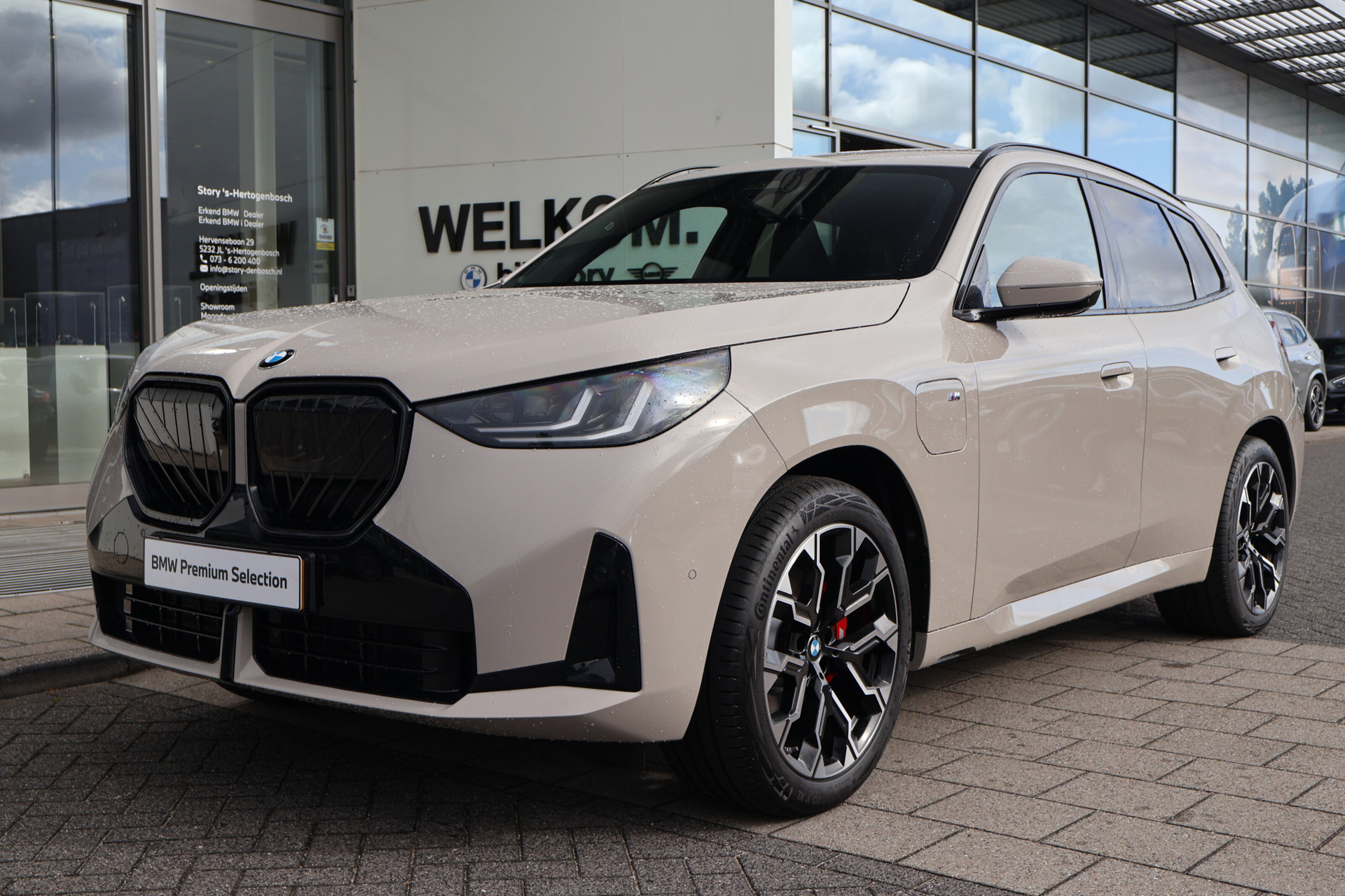 BMW X3 9