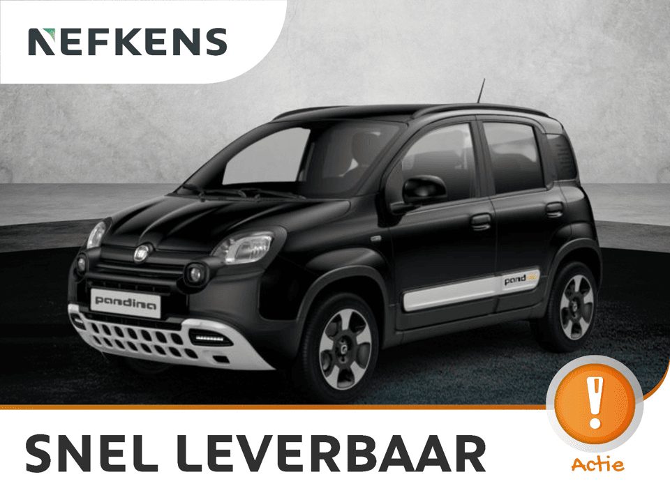 Fiat Pandina Cross - Afbeelding 1
