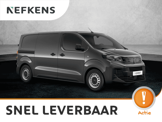 Peugeot Expert Standaard - Elektrisch