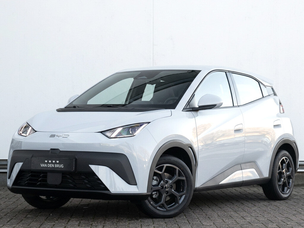 BYD DOLPHIN SURF Boost 43 kWh