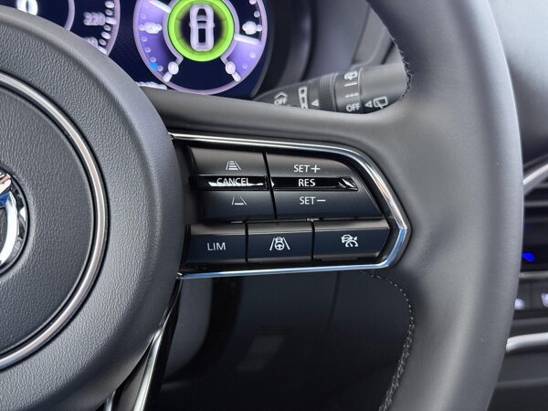 cruise control adaptief met Stop&Go en stuurhulp cruise control adaptief met Stop&Go en stuurhulp