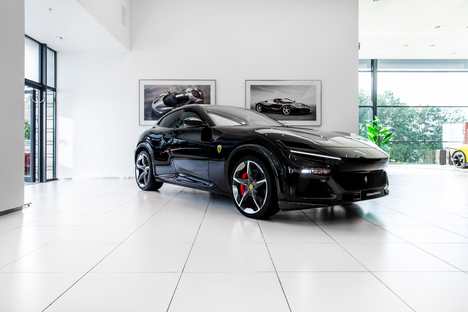 Ferrari Purosangue ~Ferrari Munsterhuis~