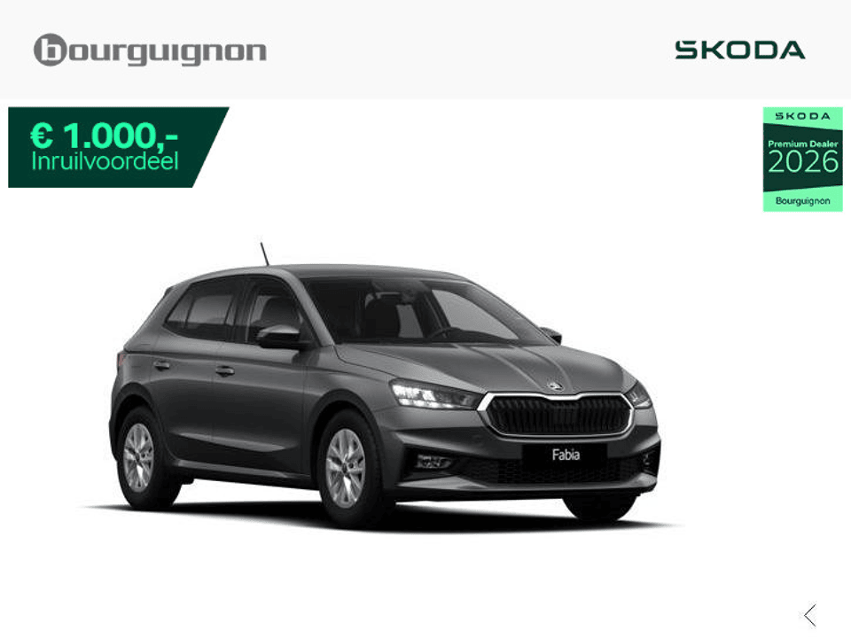 Škoda Fabia Selection 1.0 TSI 95 PK - Afbeelding 1