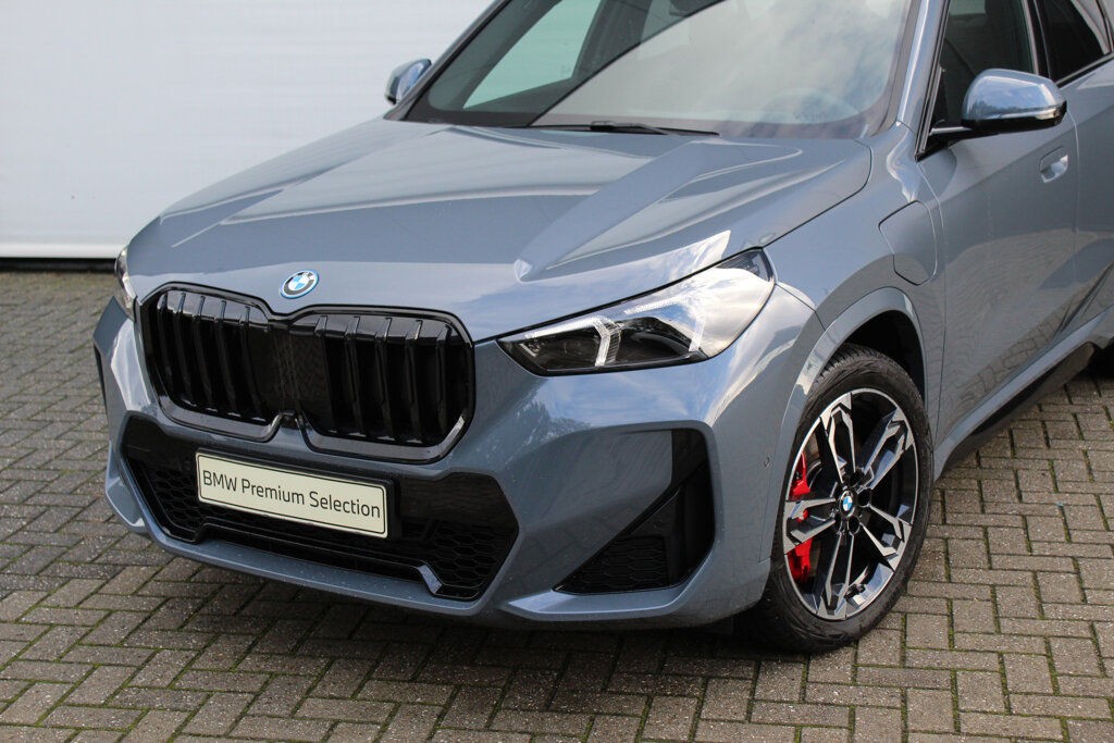 BMW X1 9