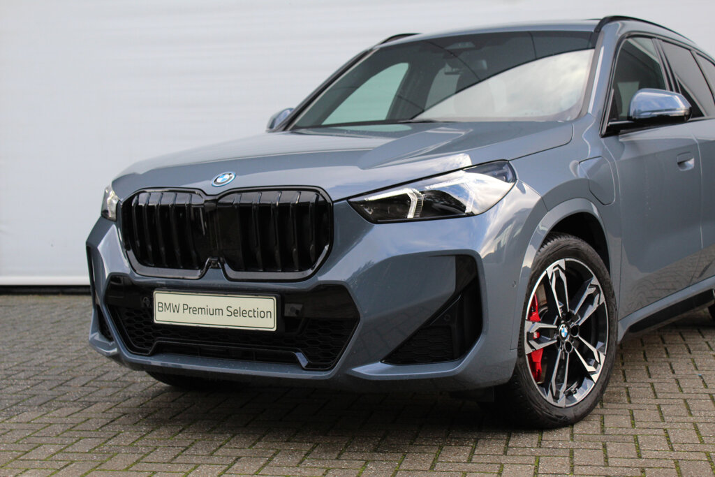 BMW X1 10