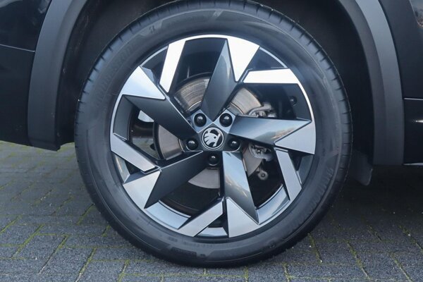 lichtmetalen velgen 5-spaaks 19"
