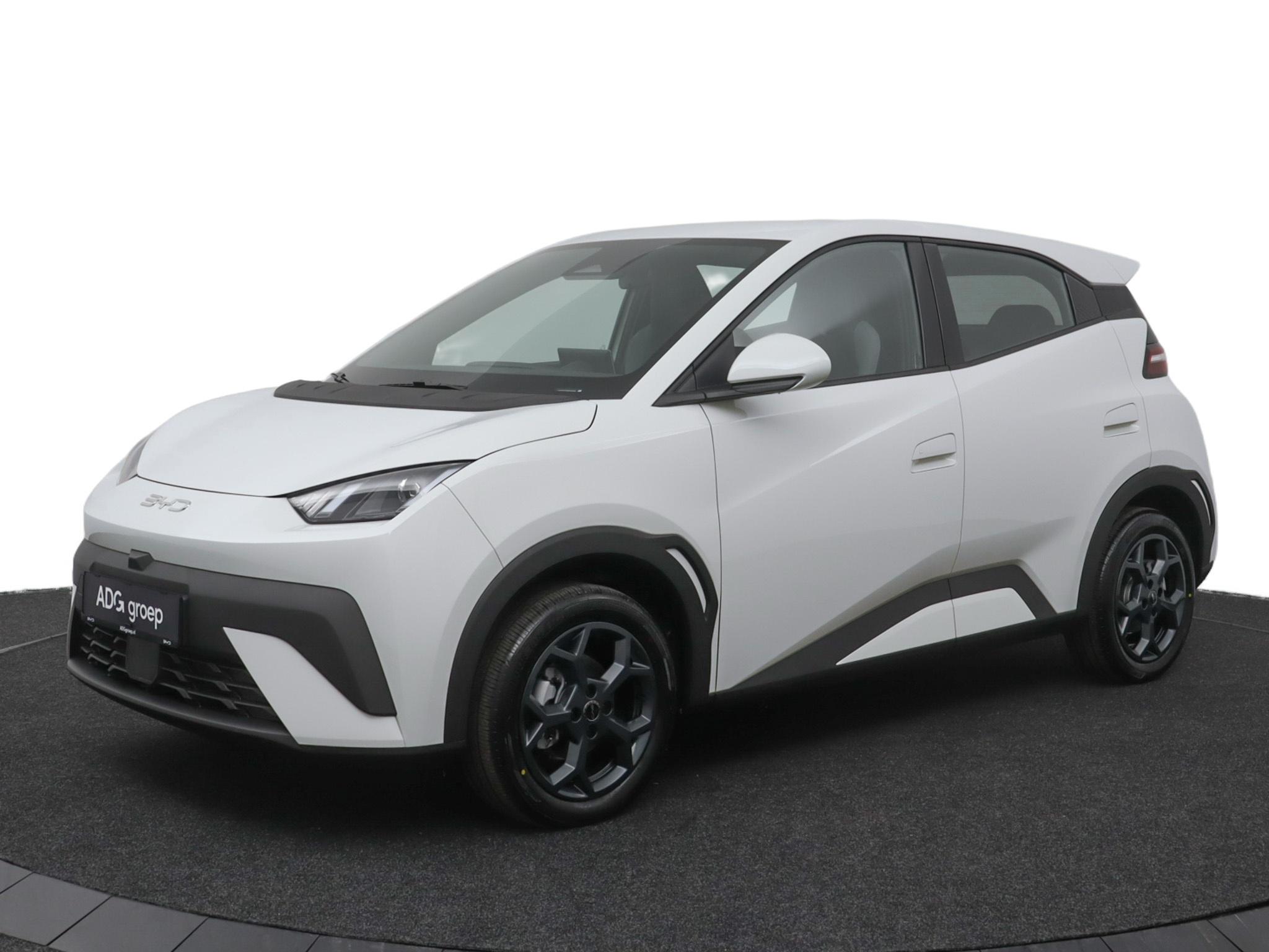 BYD DOLPHIN SURF Boost 43 kWh
