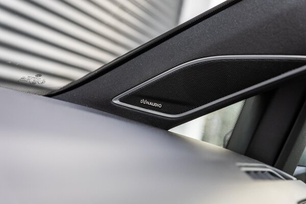 Dynaudio geluidsinstallatie 300W