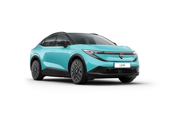 Nissan leaf - thumbnail (1)