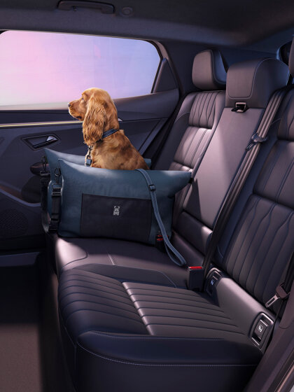 Nieuwe Renault Scenic E-Tech electric Handmatige koffie -