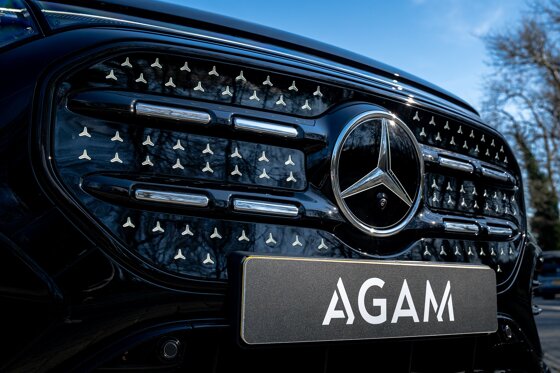 GLB electric grille