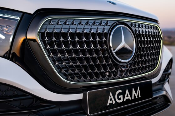GLE grille