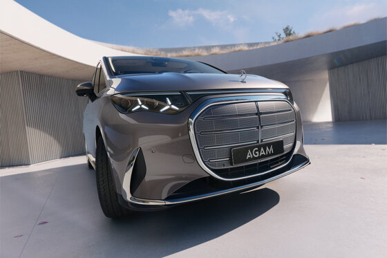 iconsiche grille van VLE