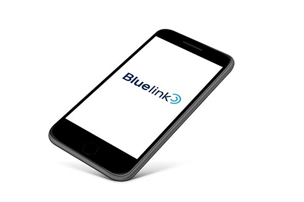 Bluelink App