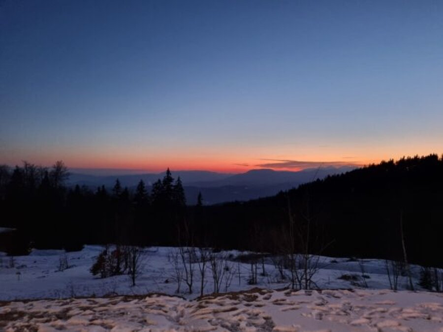 20220308_182735-600x450