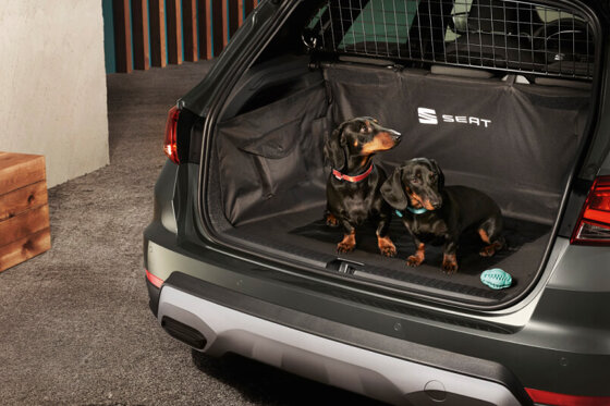 arona_slider-image-wide03