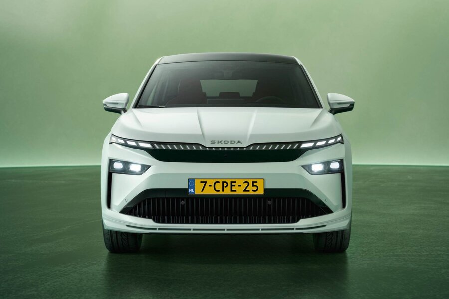 Coupe_Zoom_1_Groot