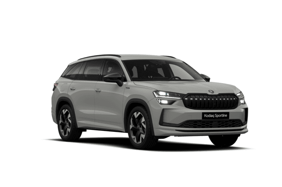 Kodiaq Zakelijke Lease Toppers