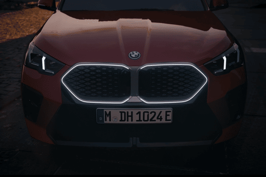 ix2 grille
