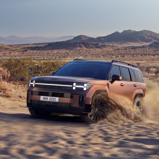 Hyundai Santa Fe - Wittenberg