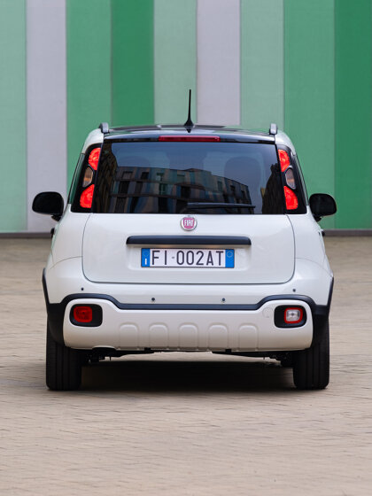 FiatPandina (2)