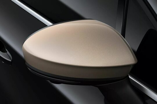Renault Symbioz Spiegelkap