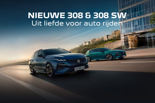 Tegel Nieuwe 308 en 308SW