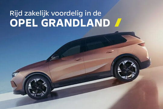 Tegel_opel grandland