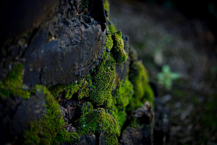 textuur_website