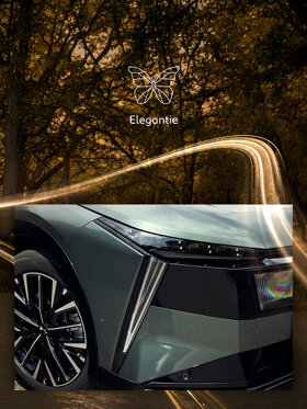 DS_elegantie
