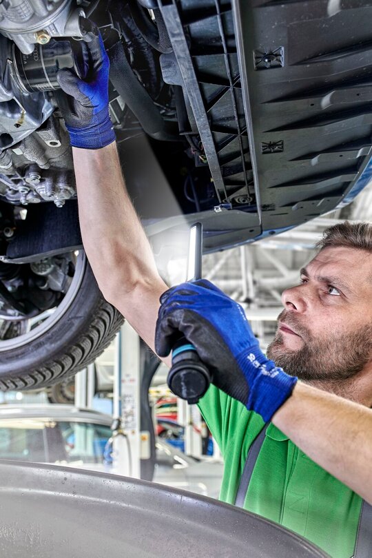 Onderhoudsbeurt Pouw Skoda