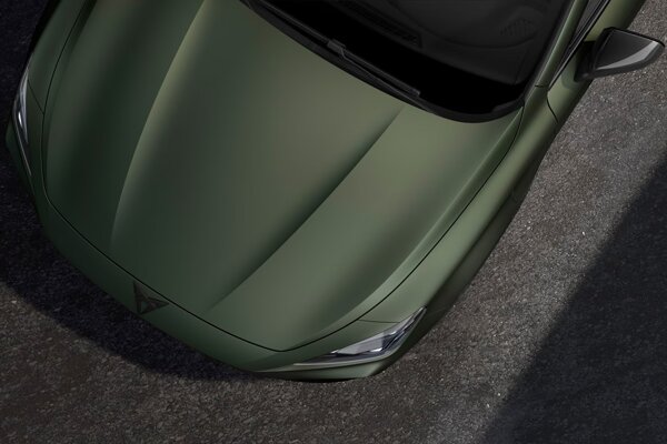 VZ Tribe Edition Manganese Matte 2