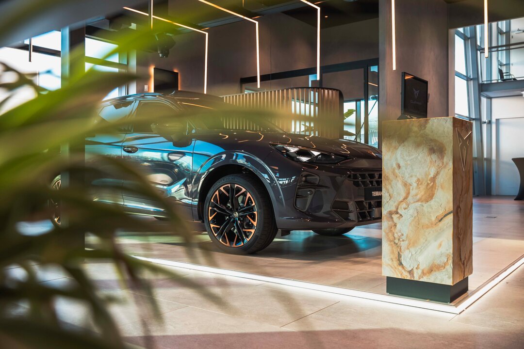 CUPRA Terramar 2024 (11)