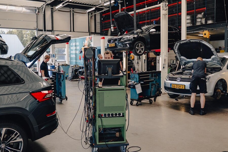 19_other_image_16965021171442976845