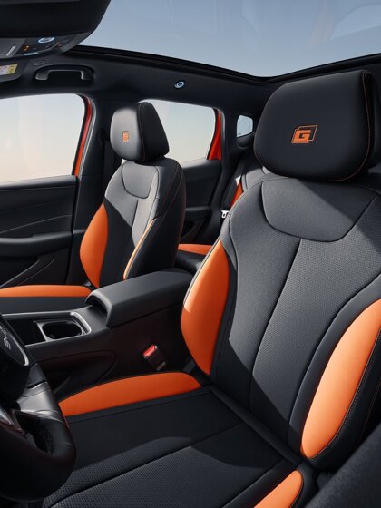 byd-dolphin-g-dmi-17