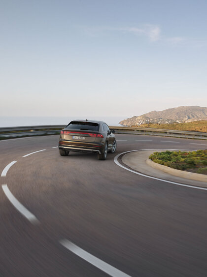 2023 Audi Q8 TFSI e (6)